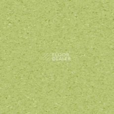Линолеум Tarkett iQ Granit SOFT KIWI 0750 фото 1 | FLOORDEALER